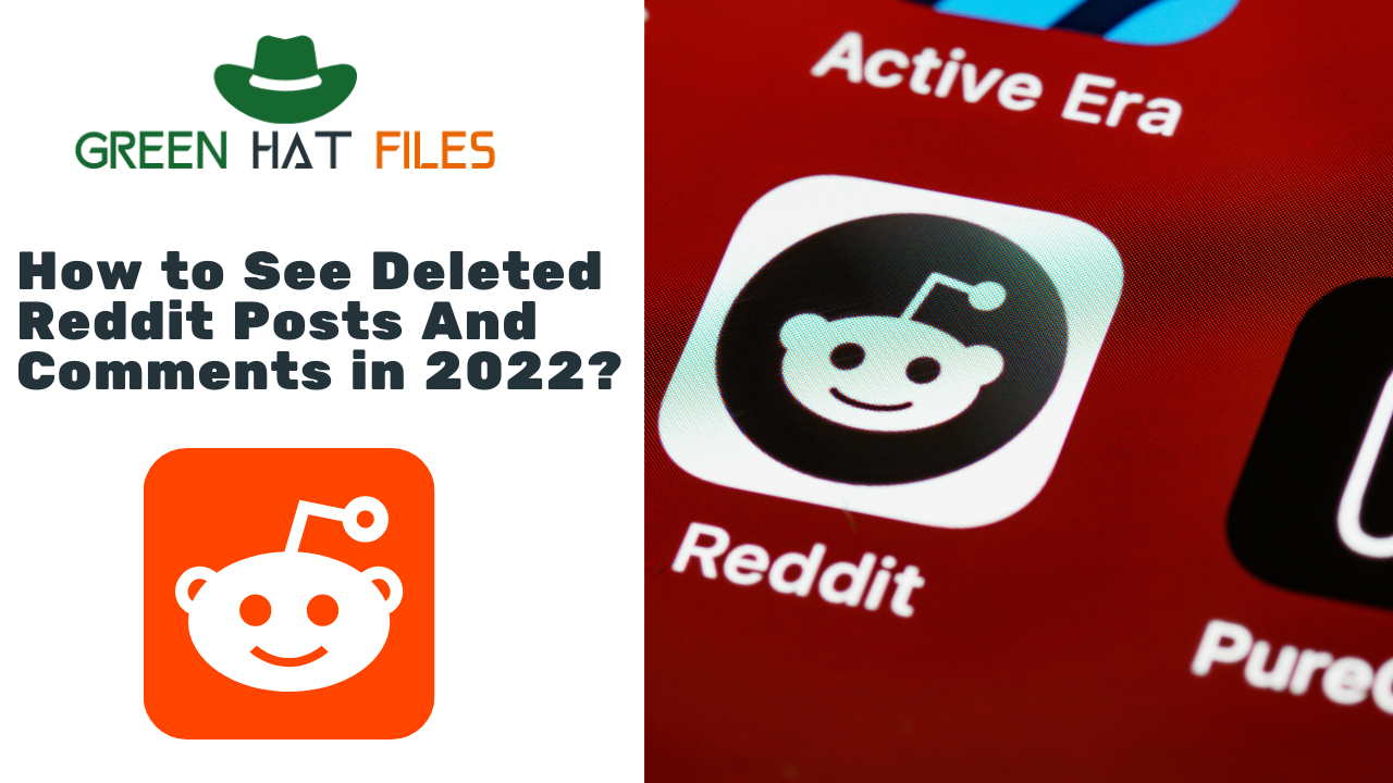 How to See Deleted Reddit Posts And Comments
