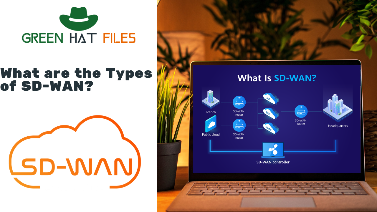 Types of SD-WAN