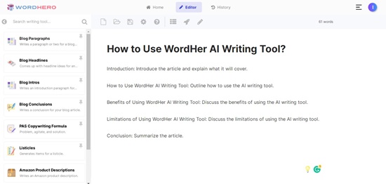 WordHero Long Term Editor