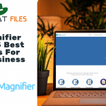 SEO Magnifier Review: 5 Best SEO Tools For Small Business